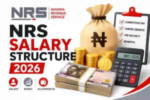 FIRS/NRS Salary Structure 2026: Salary, Ranks and Allowances